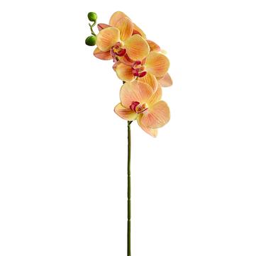 23.5" Orange Phalaenopsis Spray