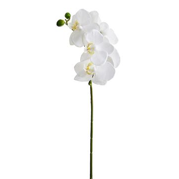 23.5"  White Phalaenopsis Spray