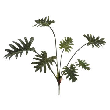 19" Split Leaf Philodendron Plant