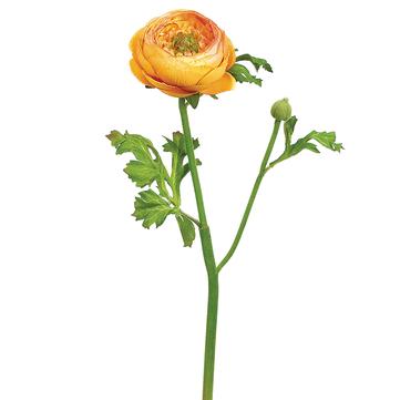 13" Yellow & Gold Ranunculus Spray