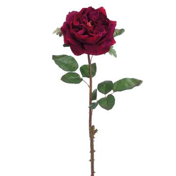 20" Wine English Rose Spray