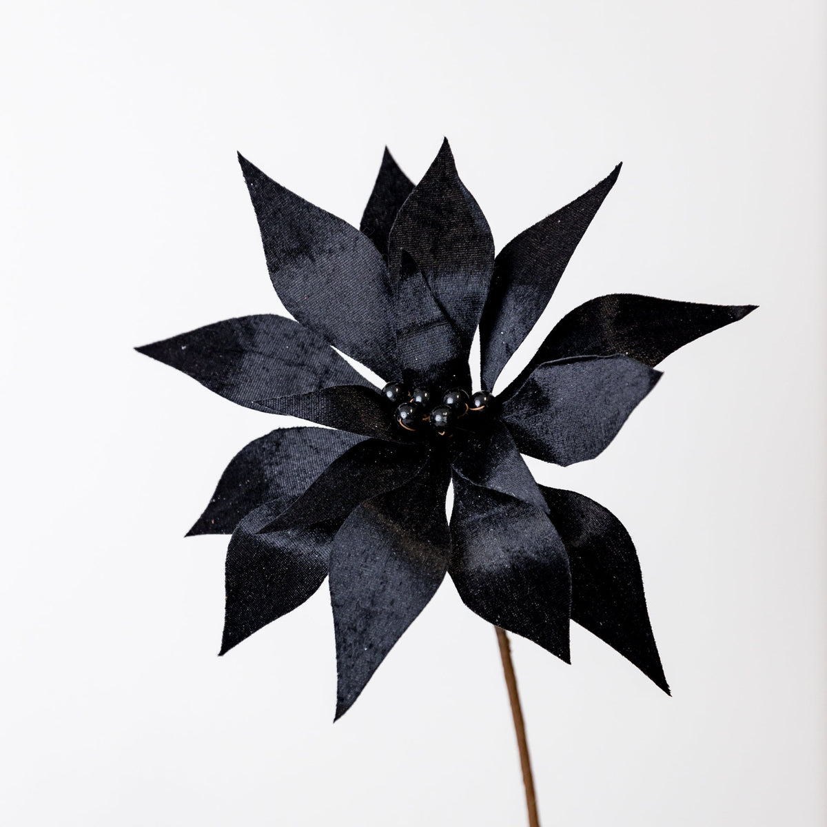 20" Pearl Black Poinsettia Velvet