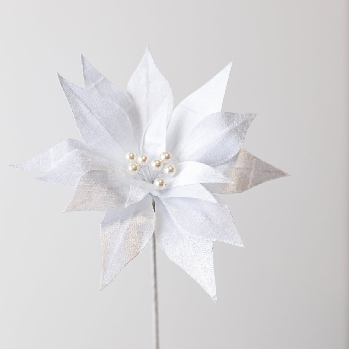 20" Pearl White Poinsettia Velvet