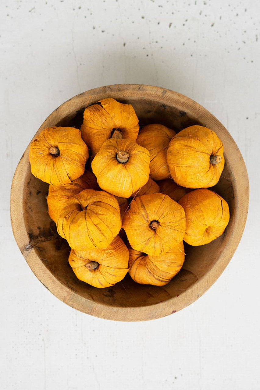 Orange Dried Mini Pumpkins Bg/15