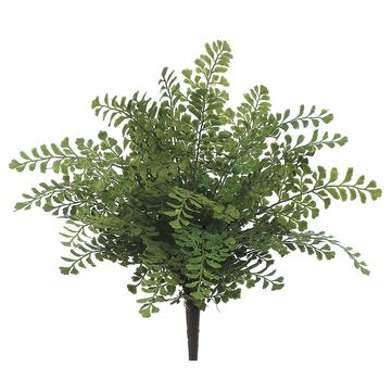 16" Maidenhair Fern Bush