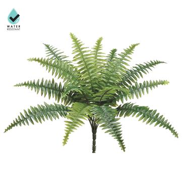 17" Boston Fern W/15 Leaves