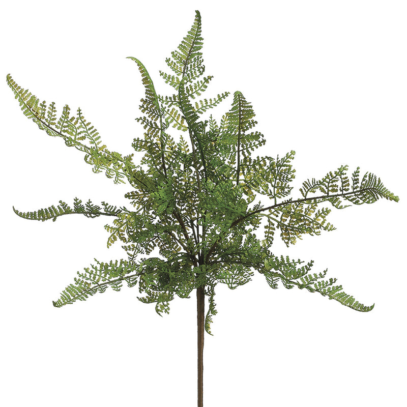 15" Leather Fern Bush