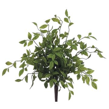 20" Nandina Leaf Bush