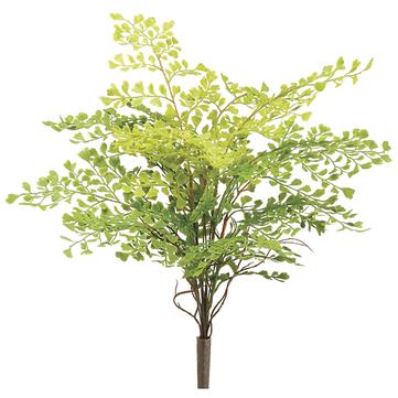 18" Soft Maidenhair Fern Bush