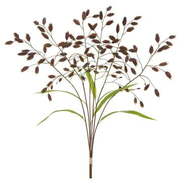 22.5" Wild Oat Bundle