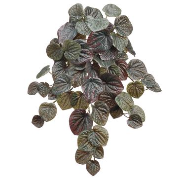 19" Pepperomia Bush