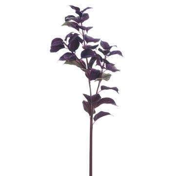 32" Coleus Leaf Spray