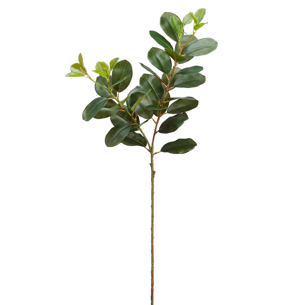 31" Oriental Ficus Spray