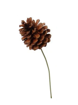 8" Pinecone Stem Pick Brown