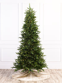 7.5' Carolina Frasier Fir Slender Christmas Tree with 5mm RGBWW