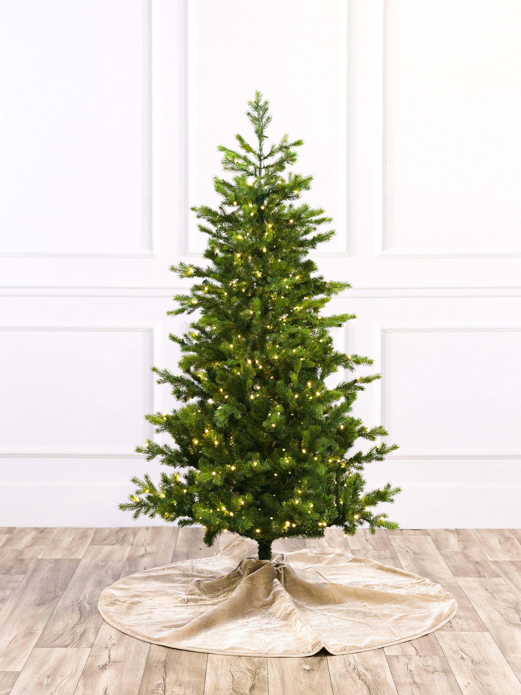 Grand Noble Fresh Cut Christmas Tree with 5mm LED – Modern Display