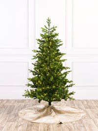 Grand Noble Fresh Cut Christmas Tree with 5mm LED