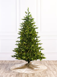Grand Noble Fresh Cut Christmas Tree with 5mm LED